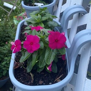 Meet your Posher, Noemi